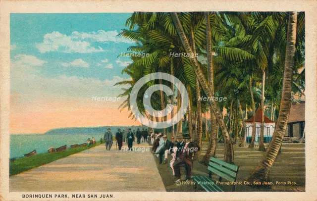 Borinquen Park, near San Juan, 1909. Artist: Unknown