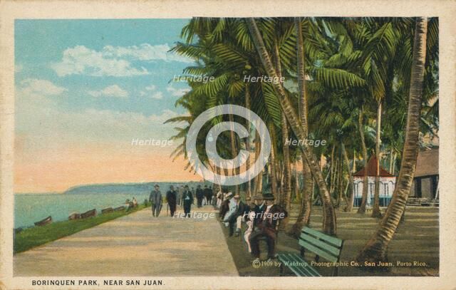 Borinquen Park, near San Juan, 1909. Artist: Unknown