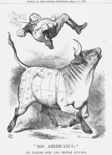 "Bos Americanus", 1877. Creator: Joseph Swain