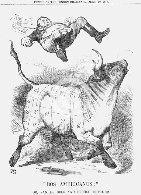"Bos Americanus", 1877. Creator: Joseph Swain.