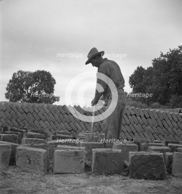 Bosque Farms project - making adobe brick for school and permanent houses, New Mexico, 1935. Creator: Dorothea Lange.