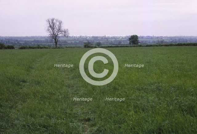 Bosworth Field. Leicestershire, England, 20th century. Artist: CM Dixon.