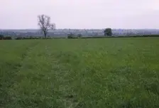 Bosworth Field. Leicestershire, England, 20th century. Artist: CM Dixon