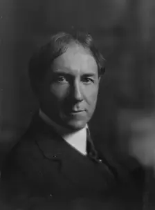 Bosworth, William Welles, Mr., portrait photograph, between 1916 and 1918. Creator: Arnold Genthe