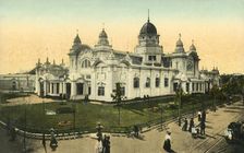 Bostock's Jungle, Coronation Exhibition, London, 1911. Creator: Unknown