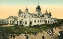 Bostock's Jungle, Coronation Exhibition, London, 1911. Creator: Unknown