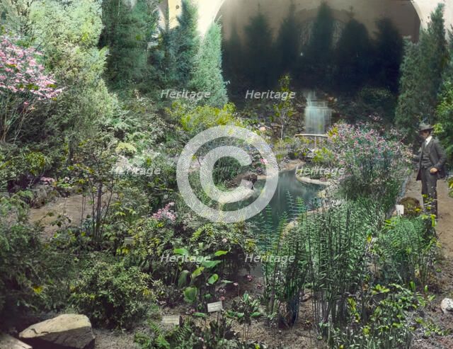 Boston Horticultural Society Exhibition, Horticultural Hall, Massachusetts Avenue, Mass., 1921. Creator: Frances Benjamin Johnston.