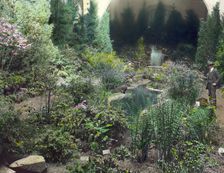Boston Horticultural Society Exhibition, Horticultural Hall, Massachusetts Avenue, Mass., 1921. Creator: Frances Benjamin Johnston