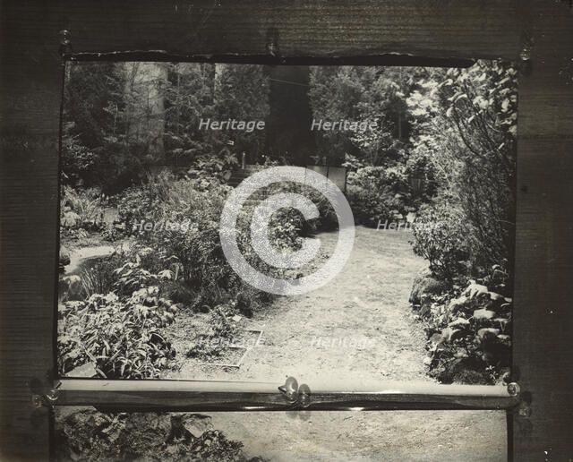 Boston Horticultural Society Exhibition, Horticultural Hall, Massachusetts Avenue, Mass., 1921. Creator: Frances Benjamin Johnston.