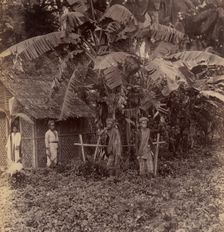 Batavia, 1860s-70s. Creator: Unknown