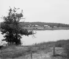 Batavia, Laurelwood Park, between 1880 and 1899. Creator: Unknown
