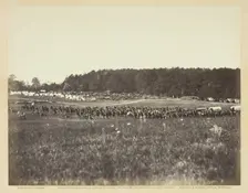 Battery A, Fourth U.S. Artillery, Robertson's Brigade, February 1864. Creator: James Gardner