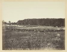 Battery A, Fourth U.S. Artillery, Robertson's Brigade, February 1864. Creator: James Gardner