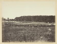 Battery A, Fourth U.S. Artillery, Robertson's Brigade, February 1864. Creator: James Gardner