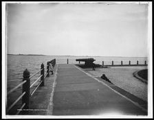 Battery, Charleston, S.C., c1901. Creator: Unknown