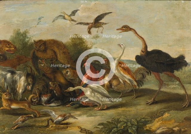 Battle between Owls and Quadrupeds. Creator: Jan van Kessel.