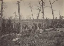 Battle Ground of Resacca, Georgia No. 3, 1860s. Creator: George N. Barnard