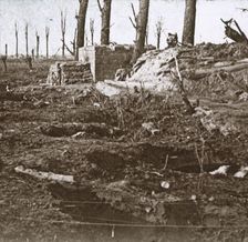 Battlefield, c1914-c1918