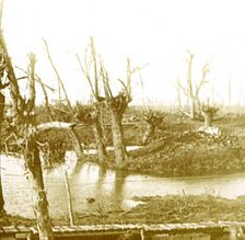 Battlefield, c1914-c1918