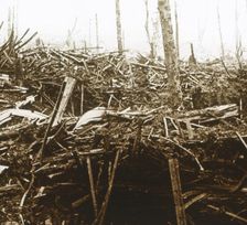 Battlefield, c1914-c1918