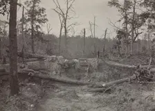 Battlefield of New Hope Church, Georgia, No. 2, 1865-1866. Creator: George N. Barnard (American, 1819-1902)