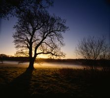 Battlefield of the Battle of Hastings, Battle Abbey, East Sussex, 2010. Creator: Historic England Staff Photographer
