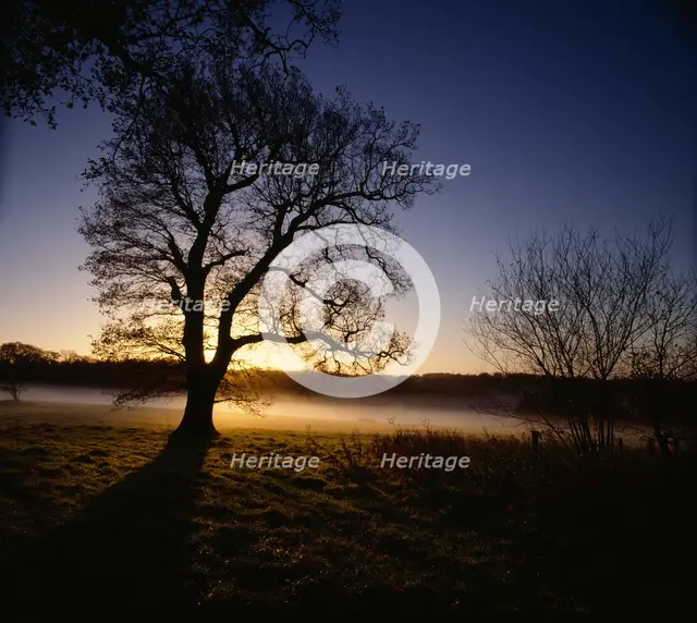 Battlefield of the Battle of Hastings, Battle Abbey, East Sussex, 2010. Creator: Historic England Staff Photographer.