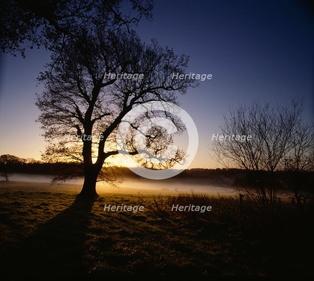 Battlefield of the Battle of Hastings, Battle Abbey, East Sussex, 2010. Creator: Historic England Staff Photographer.