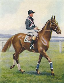 Battleship, Jockey: B. Hobbs 1939