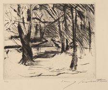Bäume mit Sonne (Trees in the Sun), 1920-1921. Creator: Lovis Corinth