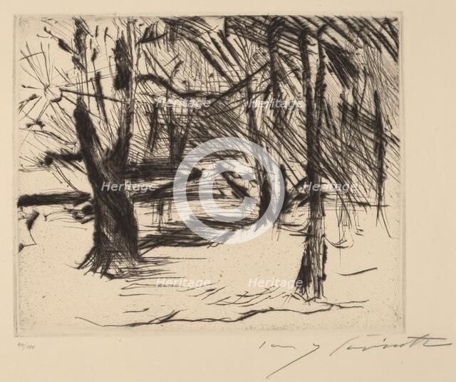 Bäume mit Sonne (Trees in the Sun), 1920-1921. Creator: Lovis Corinth.