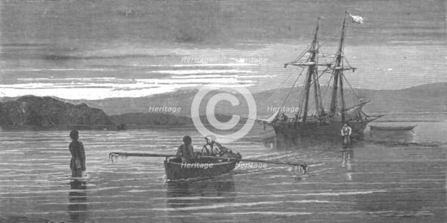 'Bay of St. Vincent, New Caledonia; Some Account of New Caledonia', 1875. Creator: Unknown.