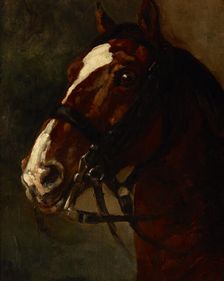 Bay Horse's Head, between 1833-1834. Creator: Piotr Michalowski