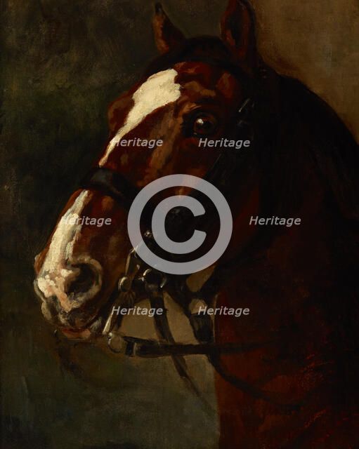 Bay Horse's Head, between 1833-1834. Creator: Piotr Michalowski.