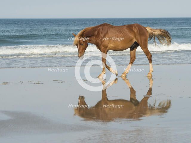 Bay Relection. Creator: Eve Turek.