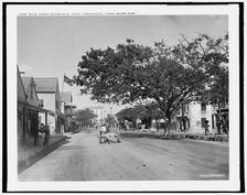 Bay St., Nassau, Bahama Islds., c1901. Creator: William H. Jackson