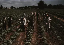 Bayou Bourbeau plantation operated by Bayou Bourbeau Farmstead Assoc..., Natchitoches, La., 1940. Creator: Marion Post Wolcott