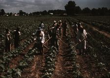 Bayou Bourbeau plantation operated by Bayou Bourbeau Farmstead Assoc..., Natchitoches, La., 1940. Creator: Marion Post Wolcott