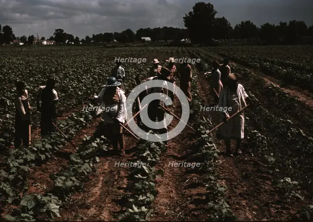 Bayou Bourbeau plantation operated by Bayou Bourbeau Farmstead Assoc..., Natchitoches, La., 1940. Creator: Marion Post Wolcott.