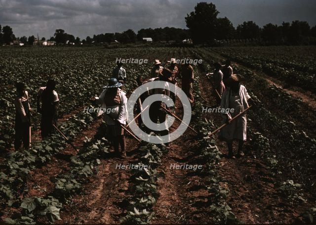 Bayou Bourbeau plantation operated by Bayou Bourbeau Farmstead Assoc..., Natchitoches, La., 1940. Creator: Marion Post Wolcott.