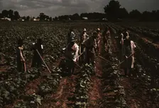 Bayou Bourbeau plantation operated by Bayou Bourbeau Farmstead Assoc..., Natchitoches, La., 1940. Creator: Marion Post Wolcott