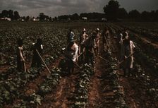 Bayou Bourbeau plantation operated by Bayou Bourbeau Farmstead Assoc..., Natchitoches, La., 1940. Creator: Marion Post Wolcott