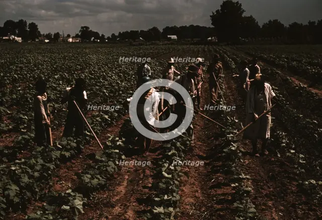 Bayou Bourbeau plantation operated by Bayou Bourbeau Farmstead Assoc..., Natchitoches, La., 1940. Creator: Marion Post Wolcott.