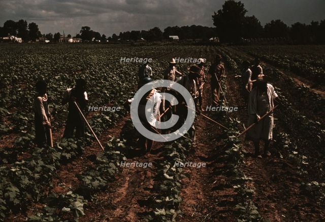 Bayou Bourbeau plantation operated by Bayou Bourbeau Farmstead Assoc..., Natchitoches, La., 1940. Creator: Marion Post Wolcott.