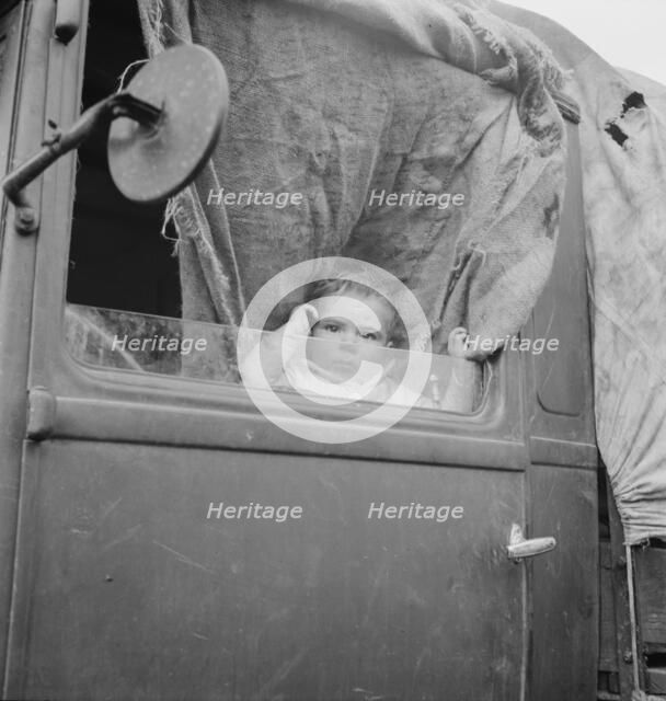 Baby from Mississippi parked in truck at FSA camp, Merrill, Oregon, 1939. Creator: Dorothea Lange.