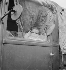 Baby from Mississippi parked in truck at FSA camp, Merrill, Oregon, 1939. Creator: Dorothea Lange