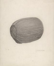 Baby's Bonnet, c. 1939. Creator: Richard Whitaker