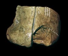 Babylonian clay model of a sheep's lung