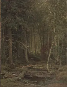 Backwoods. Artist: Shishkin, Ivan Ivanovich (1832-1898)