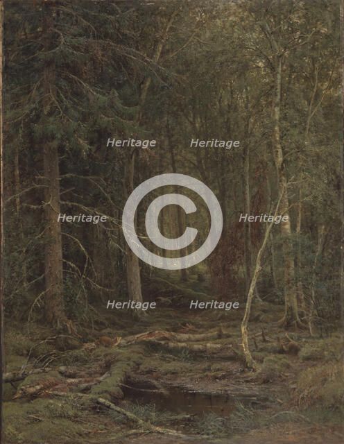 Backwoods. Artist: Shishkin, Ivan Ivanovich (1832-1898)
